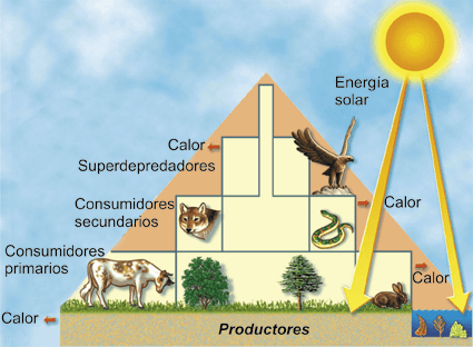Flujos de energia